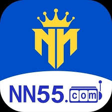nn55.COM